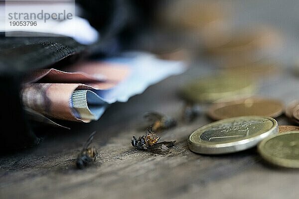 Stillleben  Geldbörse mit Euroscheinen und Euro Münzen liegt zusammen mit toten Fliegen auf einem Holztisch  Nahaufnahme  Köln  Nordrhein-Westfalen  deutschland