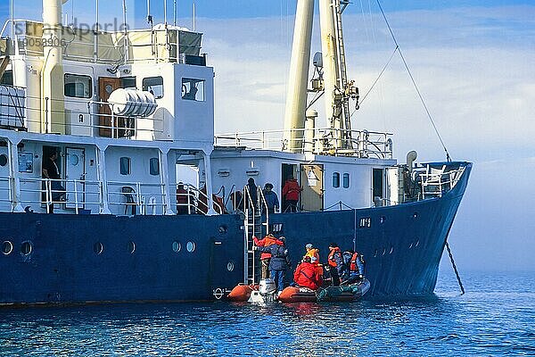 Menschen  die von einem Schlauchboot aus an Bord eines Schiffes klettern  Svalbard