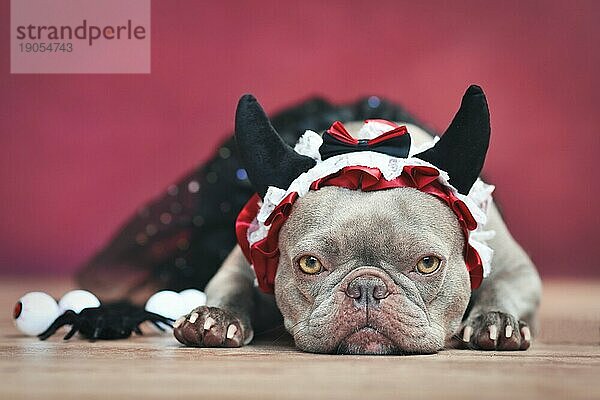 Französische Bulldogge mit rotem Teufelshorn Stirnband mit Schleife und schwarzem Tutu vor rotem Hintergrund