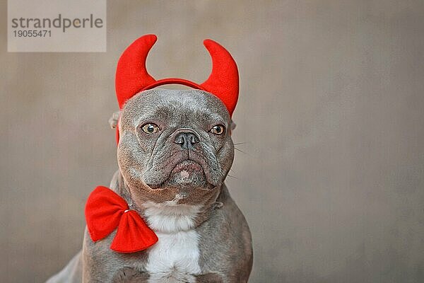 Porträt einer französischen Bulldogge mit roten Teufelshörnern und Fliege vor grauem Hintergrund