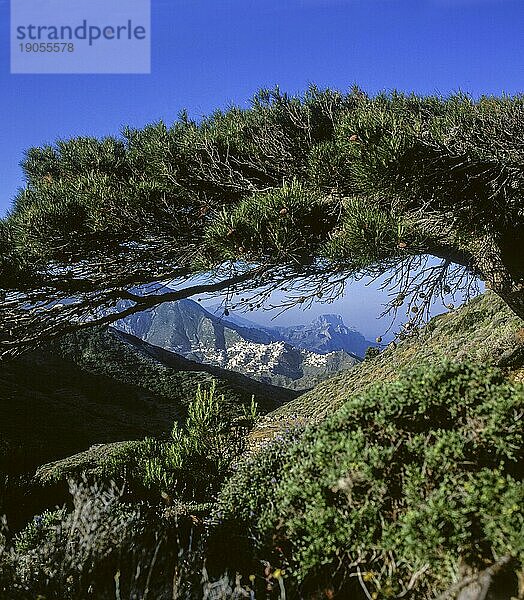 Griechenland  Dodekanes  Karpathos  Bergdorf Olymbos  Europa