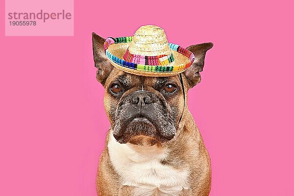 Französische Bulldogge Hund trägt Sombrero Sonnenhut auf rosa Hintergrund mit Kopie Raum