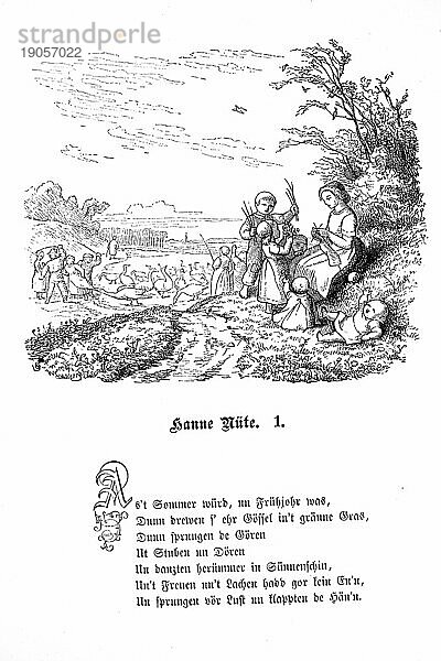 Fritz Reuter (1810) (1874) niederdeutscher Schriftsteller und Dichter  Hanne Nüte un de lütte Pudel  Eine Vogel  und Menschengeschichte  Platt  Plattdeutsch  Niederdeutsch  Dialekt  Sprache  Poet  Gedicht  literarische Figur  Grafik  Humor  Satire  Sommer  Landschaft  Gänse  Hirten  Mutter  Kinder  stricken  Natur  sammeln  Friede  Freude  Ruhe  Glück  Norddeutschland  Text  Vers  Hanne Nüte 1  19. Jahrhundert  historische Illustration 1868