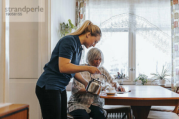 Seitenansicht einer weiblichen Pflegekraft  die einer älteren Frau am Esstisch Tee serviert