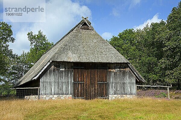 Traditioneller Schafstall  Schafstall in der Lüneburger Heide  Lüneburger Heide  Niedersachsen  Deutschland  Europa