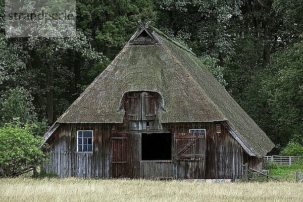 Traditioneller Schafstall  Schafstall in der Lüneburger Heide  Lüneburger Heide  Niedersachsen  Deutschland  Europa