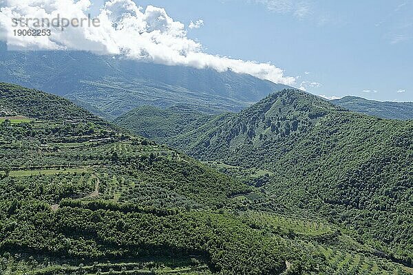 Bewaldete Hänge in der südalbanischen Berglandschaft am westlichen Ausläufer des Tomorr-Massivs im Tomorr Nationalpark  auch Tomorri Nationalpark. Berat  Albanien  Südosteuropa  Europa