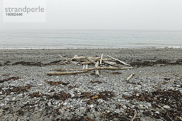 Treibholz am Strand  nördlicher Sankt Lorenz Strom  Provinz Quebec  Kanada  Nordamerika