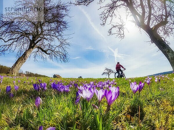 Fröhliche junge Frau  die im Frühjahr mit ihrem elektrischen Mountainbike auf einer Wiese mit bunt blühenden Krokussen unterwegs ist