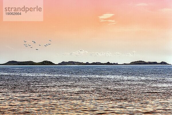 Küstenlinie  unbewohnte Inseln  Felsen im Meer  Gegenlicht  Scilly-Inseln  Isles of Scilly  Cornwall  England  Großbritannien  Europa