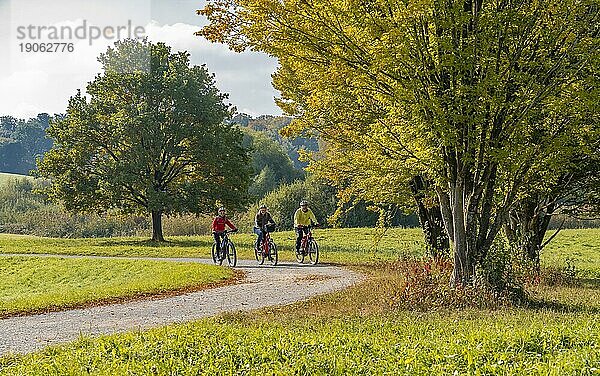 Drei glückliche  aktive Senioren fahren mit ihren Mountainbikes in der herbstlichen Atmosphäre der Herbstwälder rund um die Stadt Stuttgart  Baden-Württemberg  Deutschland  Europa