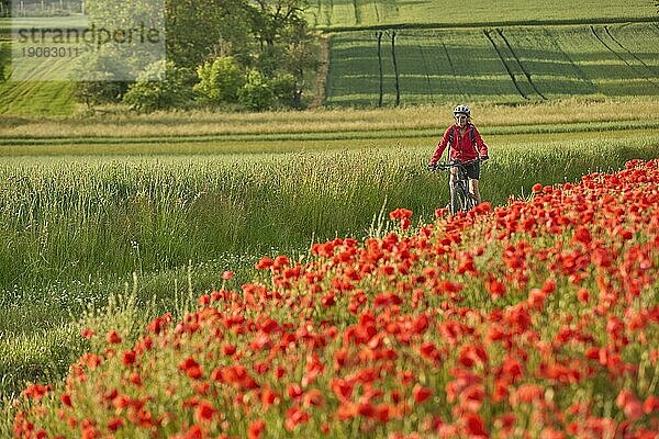Nette  aktive Seniorin  fährt auf ihrem Elektrofahrrad in einem riesigen Feld blühender roter Mohnblumen