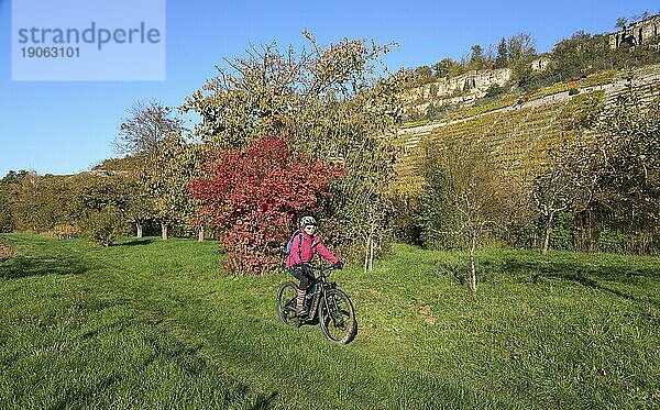 Nette Seniorin  die ihr elektrisches Mountainbike in den steilen  herbstlich gefärbten Weinbergen des Neckartals  Baden-Württemberg  Deutschland fährt