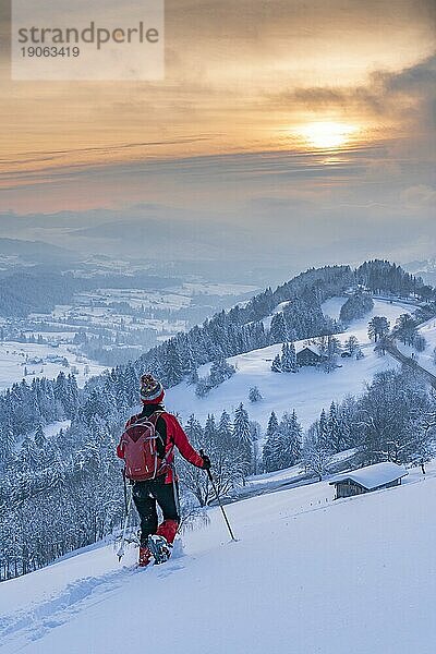 Hübsche aktive Seniorin Schneeschuhwandern in den Allgäuer Alpen bei Oberstaufen mit Blick in den Bregenzerwald  Vorarlberg  Österreich  Europa