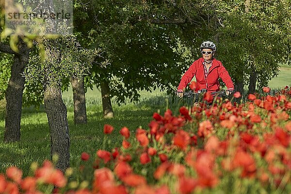 Nette  aktive Seniorin  fährt auf ihrem Elektrofahrrad in einem riesigen Feld blühender roter Mohnblumen