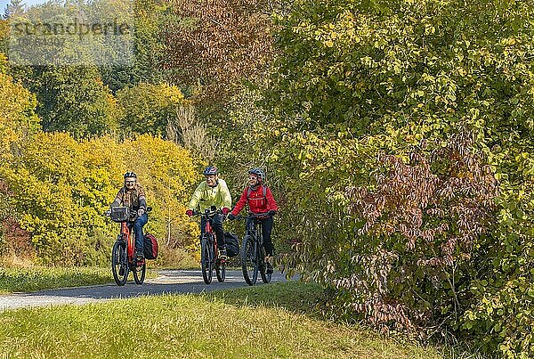 Drei glückliche  aktive Senioren fahren mit ihren Elektro Mountainbikes in der herbstlichen Atmosphäre der Herbstwälder rund um die Stadt Stuttgart  Baden-Württemberg  Deutschland  Europa
