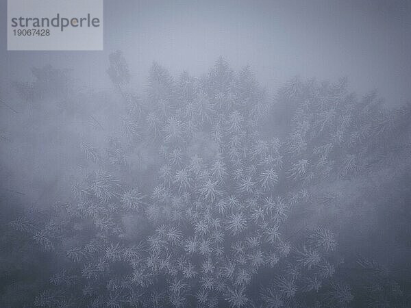 Winter im Erzgebirge