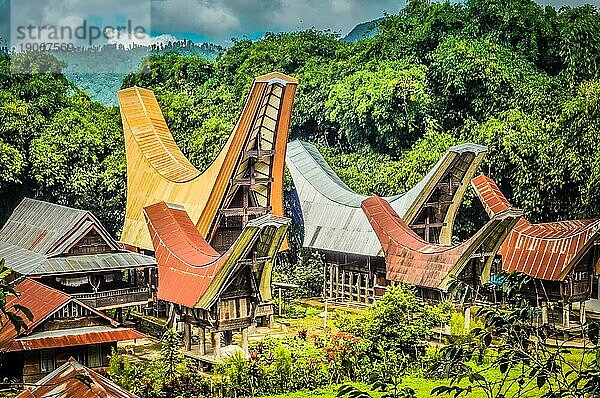 Foto von traditionellen Ahnenhäusern  tongkonans  mit großen schiffsförmigen und sattelförmigen Dächern in der Region Toraja in Sulawesi  Indonesien  Asien