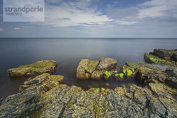 Felsenküste an der Ostsee bei Vik  Gemeinde Simrishamn  Skane  Schonen  Skåne  Schweden  Europa