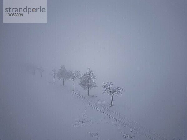 Winter im Erzgebirge