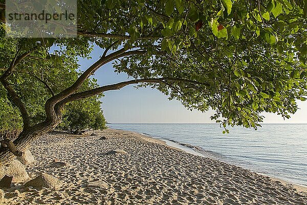 Sandstrand von Knäbäckshusen  Knäbäckshusen an der Ostsee bei Sonnenaufgang  Österlen in Ravlunda  Simrishamn  Skane  Schonen  Schweden  Europa