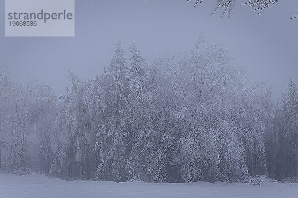 Winter im Erzgebirge