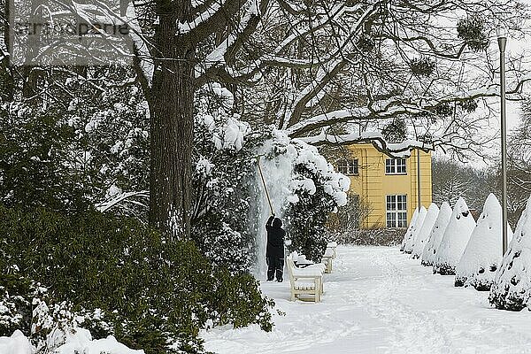 Winter in Dresden