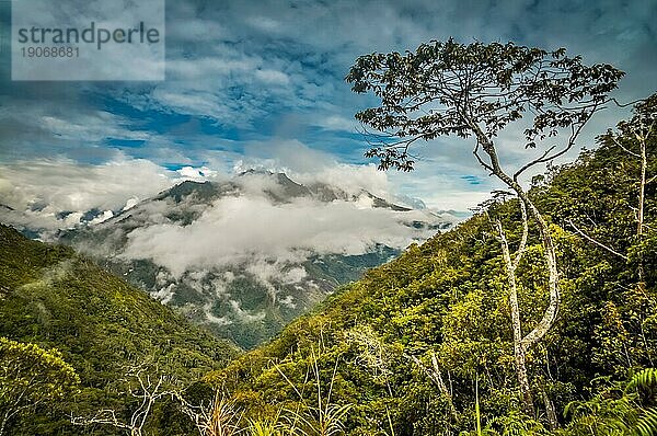 Foto von Wäldern und hohen Bergen  die von Morgennebel bedeckt sind  im Dani Kreis bei Wamena  Papua  Indonesien. In dieser Region trifft man nur auf Menschen aus isolierten lokalen Stämmen