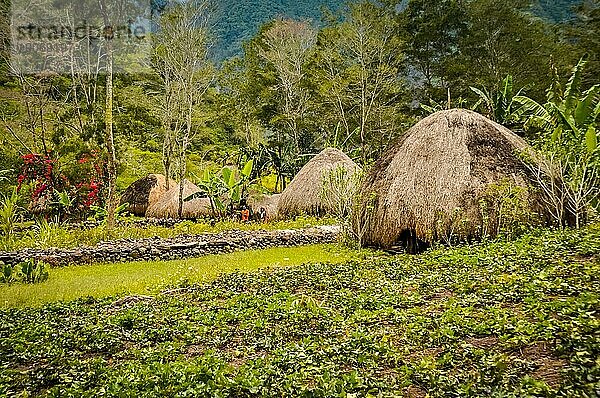 Foto von traditionellen Strohhäusern mit Gärten im Dani Kreis bei Wamena  Papua  Indonesien. In dieser Region trifft man nur Menschen aus isolierten lokalen Stämmen