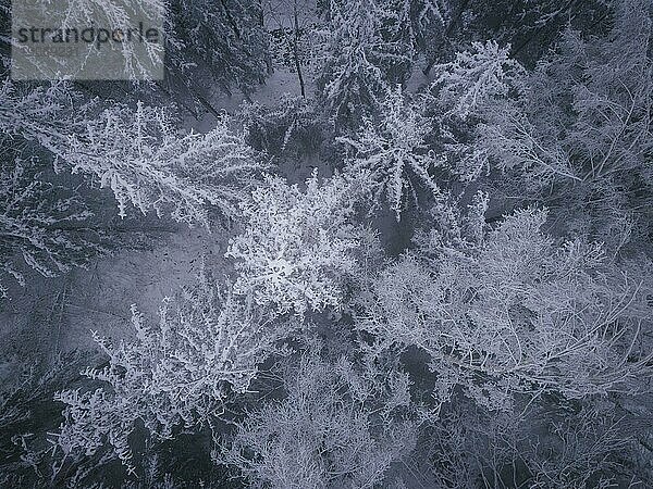 Winter im Erzgebirge