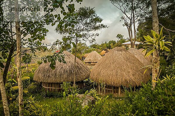 Traditionelle Häuser mit Strohdächern in einem Dorf im Dani Kreis bei Wamena  Papua  Indonesien  Asien