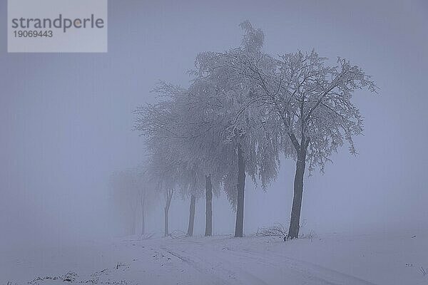 Winter im Erzgebirge