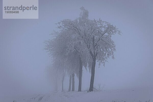 Winter im Erzgebirge