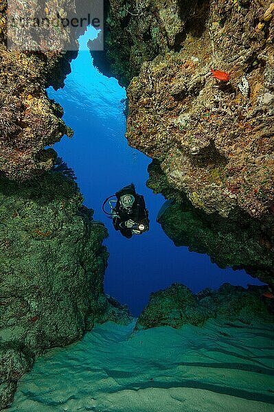 Taucherin schwimmt taucht durch Höhle Tunnel aus Korallengestein in Korallenriff  Pazifik  Insel Yap  Karolineninseln  Föderierte Staaten von Mikronesien