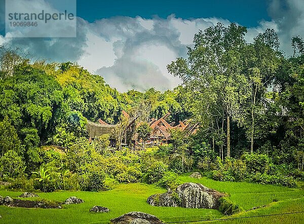 Foto von traditionellen Tongkonans mit Satteldächern und umliegenden Grünflächen und Felsen in der Region Toraja in Sulawesi  Indonesien  Asien