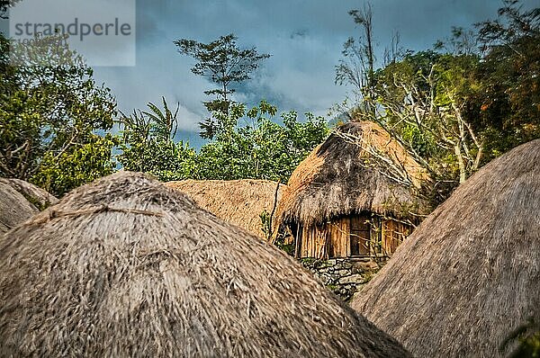 Foto von traditionellen Holzhäusern mit Strohdächern in einem Dorf im Dani Kreis bei Wamena  Papua  Indonesien  Asien