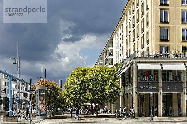 Neues Stadtgrün auf der Wilsdruffer Strasse vor dem Kulturplalast.  Dresden  Sachsen  Deutschland  Europa