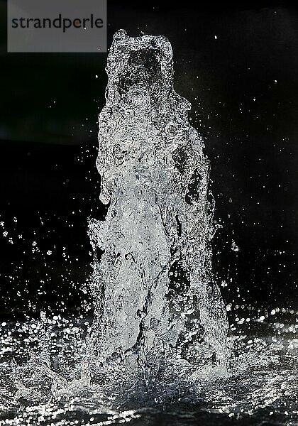 Kochbrunnenspringer im Gegenlicht  springende heiße Natrium-Chlorid-Thermalquelle  Kochbrunnenplatz  Wiesbaden  Hessen  Deutschland  Europa