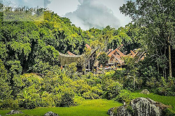 Foto der traditionellen Tongkonans und der umgebenden Grünflächen und Felsen in der Region Toraja in Sulawesi  Indonesien  Asien