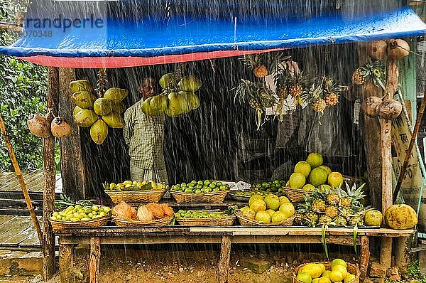 Rangamati  Bangladesch  ca. Juli 2012: Einheimischer Mann in kariertem Hemd steht an einem Obststand mit vielen Obstsorten im Regen in Rangamati  Bangladesch. Dokumentarischer Leitartikel  Asien