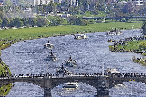 Flottenparade in Dresden Neun historische Personendampfer (PD) und und die beiden Salonschiffen der Weißen Flotte bilden eine geschmückte Parade mit Live-Musik auf den Schiffen