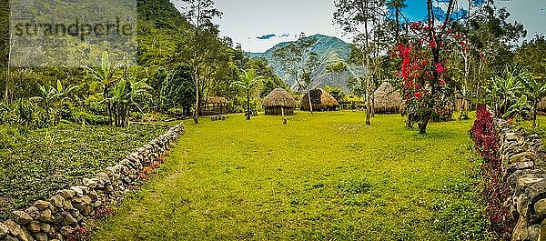 Foto von traditionellen Häusern in einem von Grün umgebenen Dorf im Dani Kreis in der Nähe von Wamena  Papua  Indonesien. In dieser Region trifft man nur Menschen aus isolierten lokalen Stämmen