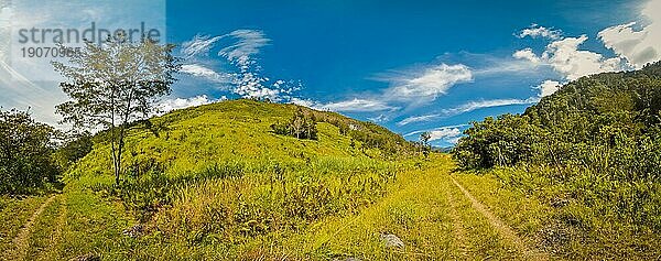 Hügel und üppiges Grün an einem sonnigen Tag in Trikora  Papua  Indonesien. In dieser Region trifft man nur Menschen aus isolierten lokalen Stämmen