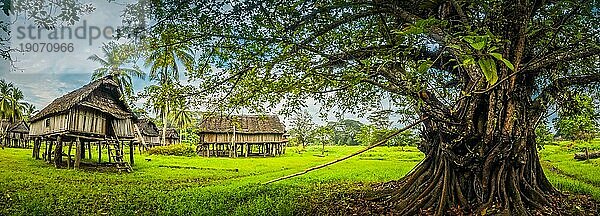 Panoramafoto von einem großen Baum und einem traditionellen Haus aus Stroh und Holz in Palembe  Sepik Fluss in Papua Neuguinea