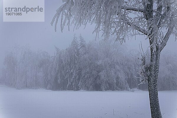 Winter im Erzgebirge