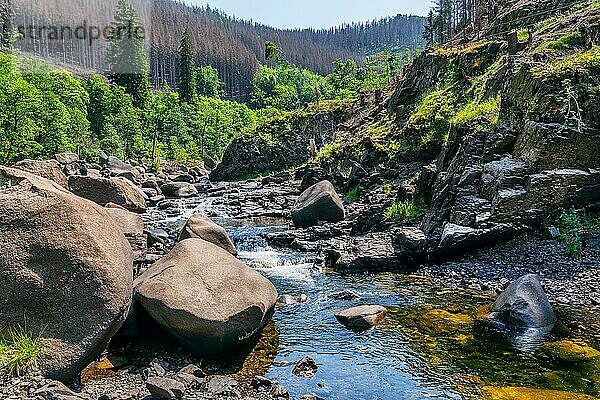 Wildromantisches Okertal  Oker  Ortsteil von Goslar  Harz  Niedersachsen  Deutschland  Europa