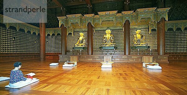 Koreanische Frau betet an den goldenen Buddha-Statuen im Tempel  May 18th Memorial Park  Gwangju  Provinz Jeollanam-do  Südkorea  Asien