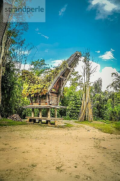 Traditionelles Ahnenhaus mit einem großen  mit Farnen bedeckten Satteldach  das auf vier Pfeilern steht  in Sangalla  Region Toraja in Sulawesi  Indonesien  Asien