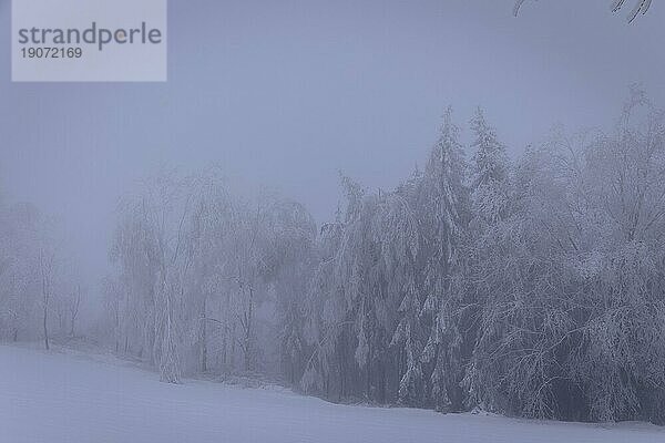 Winter im Erzgebirge