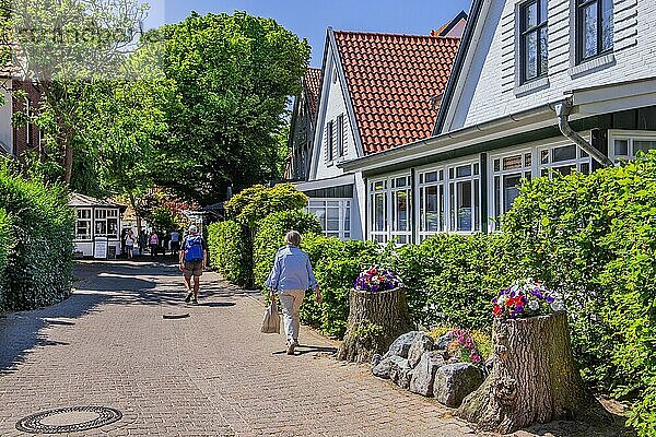 Hauptstrasse im Dorfzentrum mit typischen Veranden und hohem Baumbestand  Spiekeroog  Nordseeheilbad  Nordseeinsel  Ostfriesische Inseln  Niedersächsisches Wattenmeer  Ostfriesland  Niedersachsen  Deutschland  Europa